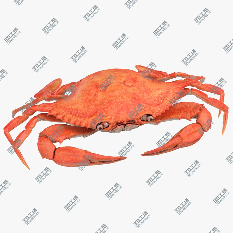 images/goods_img/202105071/Crab 3D/1.jpg